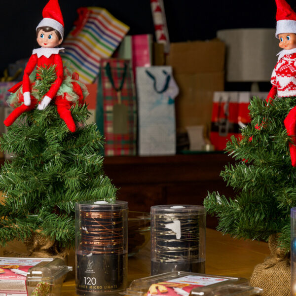 Two Elfs on the shelfs sat on top of small Christmas trees surrounded by decorations.