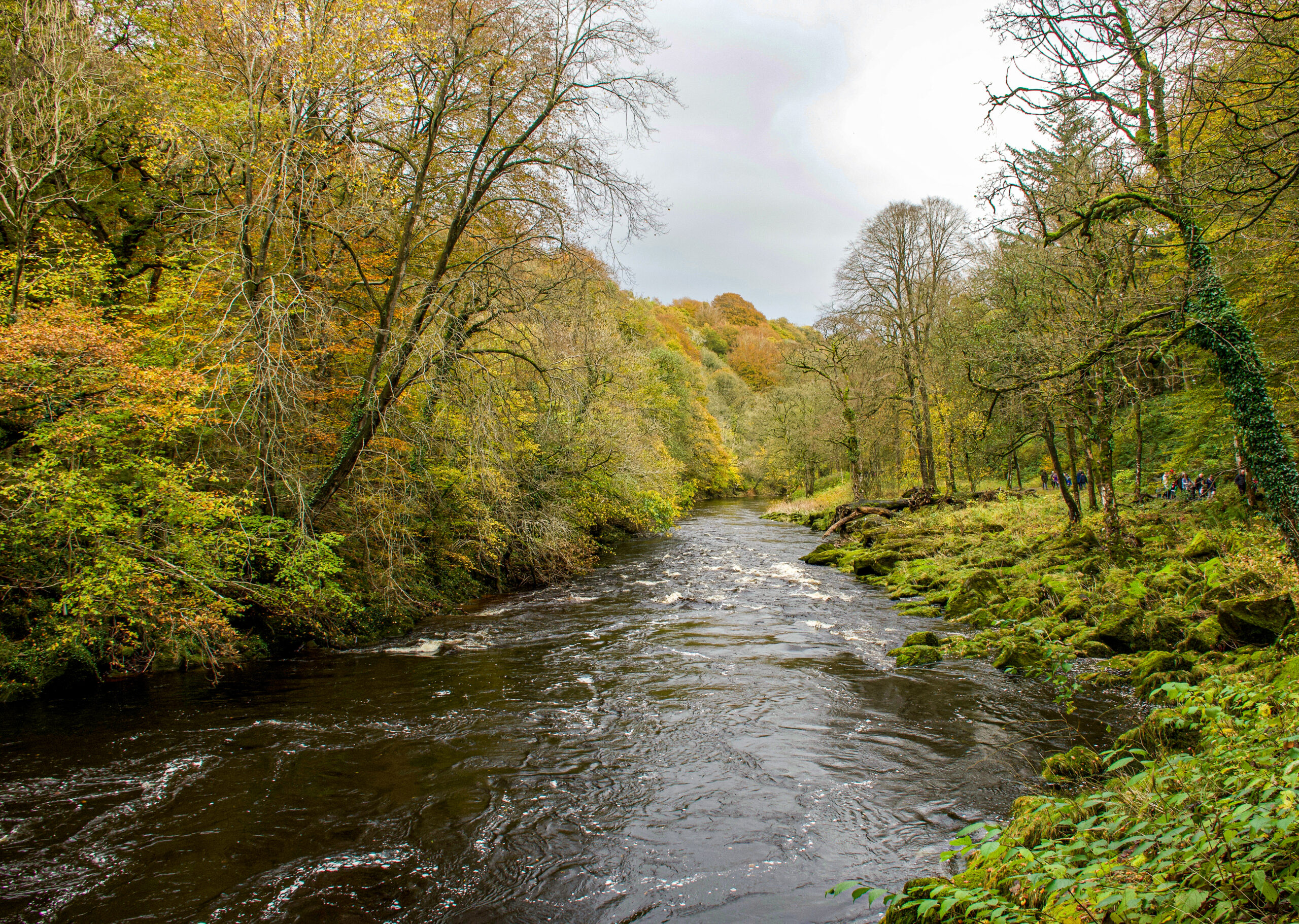 A stream running through Bolton Abbey